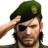 Salute
