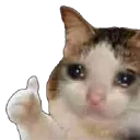 catebuon