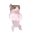 catPls