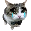 boner_sob boner_sob
