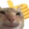 shamb shamb