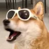 PogDog PogDog