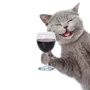 laughingcatdrinkingwine726a135d2 Discord Emoji