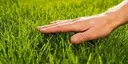 touch_grass