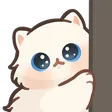cat6_peek1