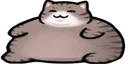 wideChonk