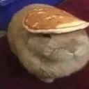 buncake