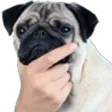 noirzaMmm