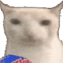 cat_chip