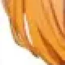donlusions7