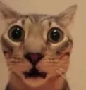 ohmylord