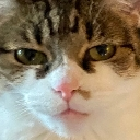 oh_balz2 Discord emoji