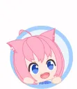 Hi Hi