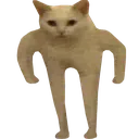 standingcatwide