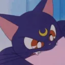LL_bitekitty