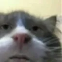 LongBface