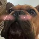 jakie_blush