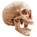 SkullPog