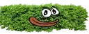 hedge