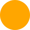 nso_orange_circle