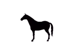 MA_HoodIronyHorse