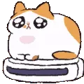 roombaing