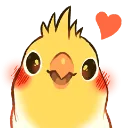 birbwow birbwow