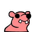flashrat