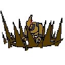 beetolslam beetolslam