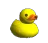 quack