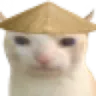 cat_hat cat_hat