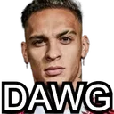 dawg