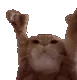 Catting