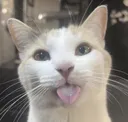 blehg2
