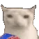 cateat