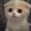7x_sadbillu 7x_sadbillu