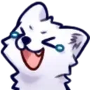 laugh laugh