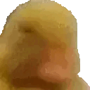 duckNO