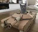 catbrams