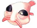 bobtears