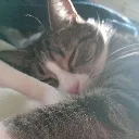 BooperSleep2