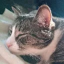 BooperSleep1