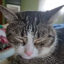 BooperTired