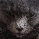SmokeyStare SmokeyStare