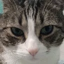 BooperStare BooperStare