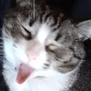 BooperYawn