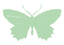 TES_butterfly_green1