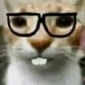 nerdcat