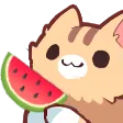 nekowatermelon
