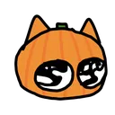 curt_shy